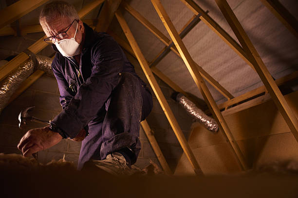 Trusted Brightwaters, NY Insulation Contractor Experts